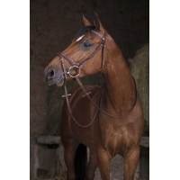 Rênes Hunter Norton Pro 16 mm Havane Marron