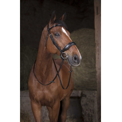 Rênes Norton Pro 16 mm Rênes Norton Pro 16 mm