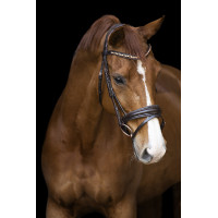 Bridon Impérial Riding Fria Bourgogne Bordeaux