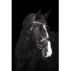 Bridon Impérial Riding Fria Marron