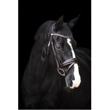 Bridon Impérial Riding Fria Marron