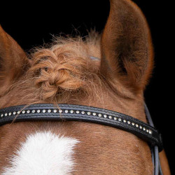Bridon shetland Imperial Riding Stormy Noir / cristal