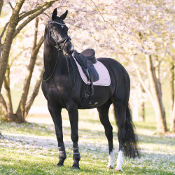 Tapis de selle Imperial Riding Lenny DR Quartz Rose