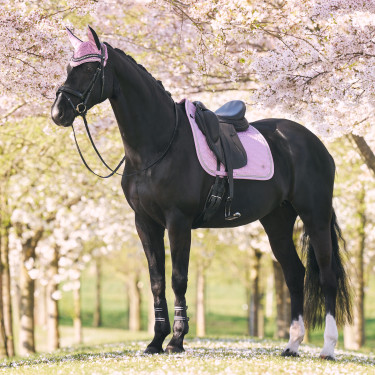 Tapis de selle Imperial Riding Lenny DR Ballerina Violet