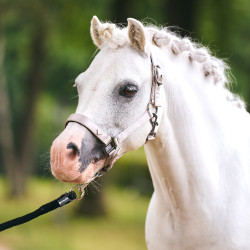 Licol Imperial Riding Rebel Gris / sable