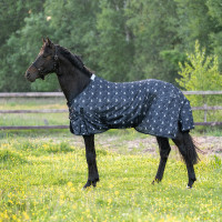 Couverture anti-mouches Imperial Riding Carlys Gris pixie dust AOP Motifs