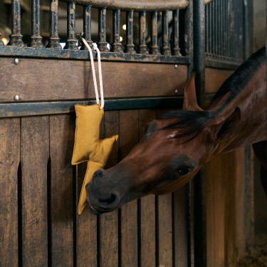 Jouet de box Imperial Riding éclair Jaune
