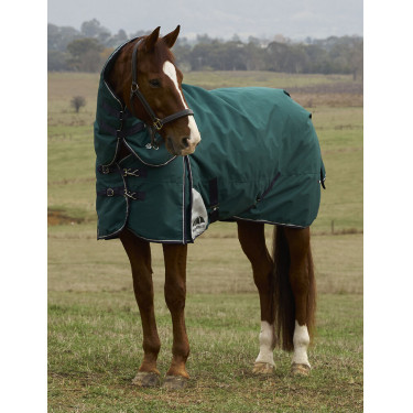 Couverture ComFiTec Plus Dynamic Turnout Weatherbeeta 100g cou détachable Vert forêt / marine