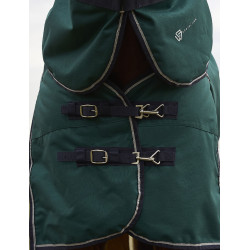 Couverture ComFiTec Plus Dynamic Turnout Weatherbeeta 100g cou détachable Vert forêt / marine