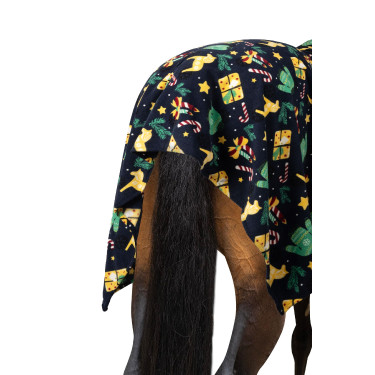 Plaid de Noël Horze Pull de Noël