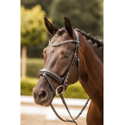 Frontal strass Horze Columbia Noir / argent