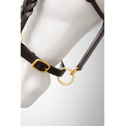 Licol en cuir Horze Rennes Marron Licol en cuir Horze Rennes Marron