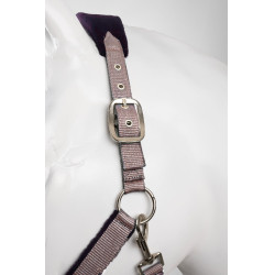 Licol et longe Horze Magic Violet silex