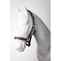 Licol et longe Horze Lucca Café quartz