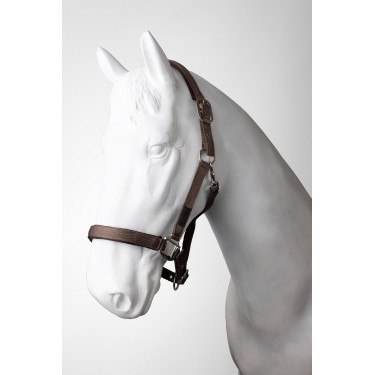 Licol et longe Horze Lucca Café quartz