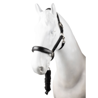 Licol en cuir et longe ensemble Horze Dynasty Noir