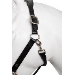 Licol en cuir et longe ensemble Horze Dynasty Noir