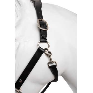 Licol en cuir et longe ensemble Horze Dynasty Noir