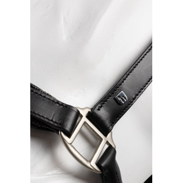 Licol en cuir et longe ensemble Horze Dynasty Noir