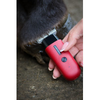 Tondeuse Liveryman Robin Trimmer