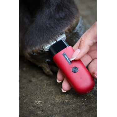 Tondeuse Liveryman Robin Trimmer Rouge