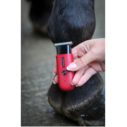 Tondeuse Liveryman Robin Trimmer Rouge