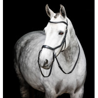 Bridon sans mors Horseware Micklem