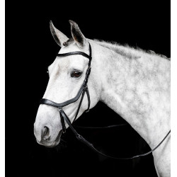 Bridon sans mors Horseware Micklem Noir