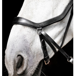 Bridon sans mors Horseware Micklem Noir