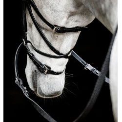 Bridon sans mors Horseware Micklem Noir