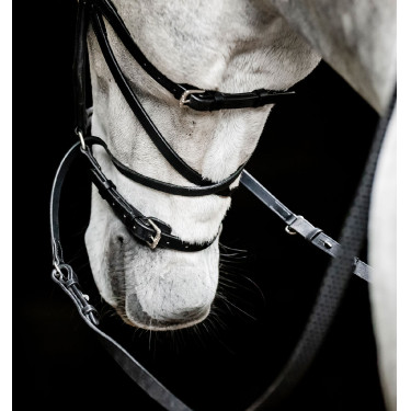 Bridon sans mors Horseware Micklem Noir
