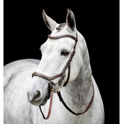 Bridon sans mors Horseware Micklem Marron