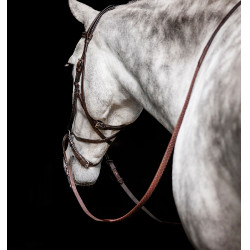 Bridon sans mors Horseware Micklem Marron