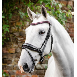 Bridon Horseware Diamante Flash Noir / rose