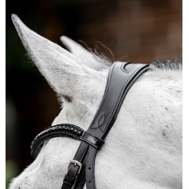 Bridon Horseware Diamante Flash