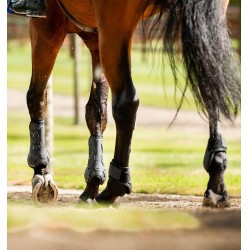 Protège-boulet Horseware® Classic Noir / noir