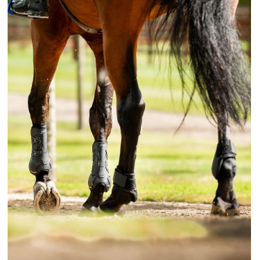 Protège-boulet Horseware® Classic Noir / noir