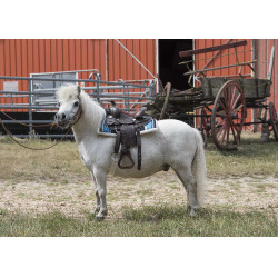 Selle Western Westride Topeka