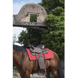 Tapis Westride Navajo coton/acrylique uni Rouge