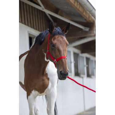 Ensemble licol et longe Club Rouge