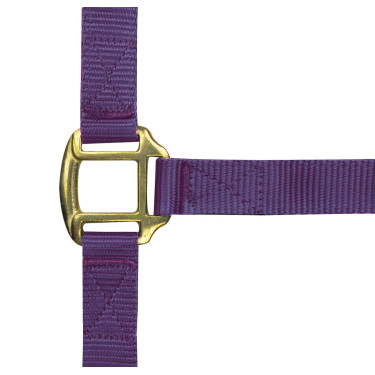 Licol nylon doublé cuir Norton Violet