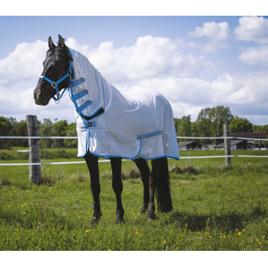 Chemise filet Riding World Combo Blanc / bleu ciel