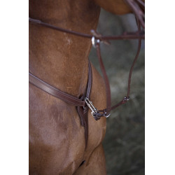 Collier de chasse Norton Pro Havane Marron Collier de chasse Norton Pro Havane Marron