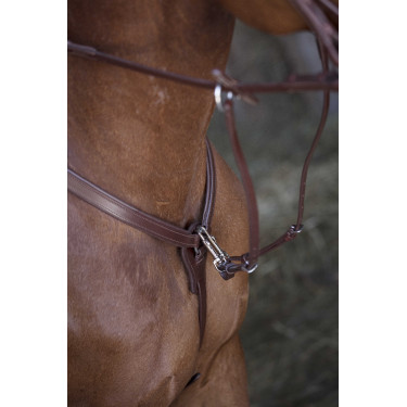 Collier de chasse Norton Pro Havane Marron Collier de chasse Norton Pro Havane Marron