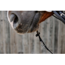 Enrênement Norton Pro Thiedeman Noir