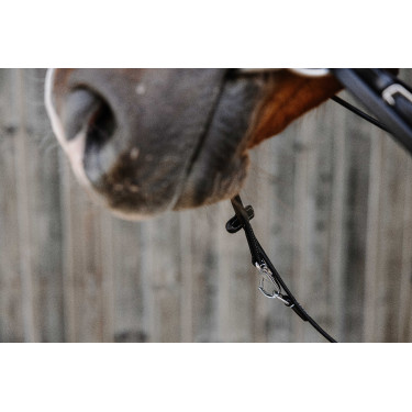 Enrênement Norton Pro Thiedeman Noir