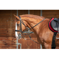 Gogue à poulies Norton Pro Havane Marron Gogue à poulies Norton Pro Havane Marron