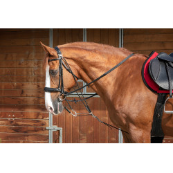 Gogue à poulies Norton Pro Noir Gogue à poulies Norton Pro Noir