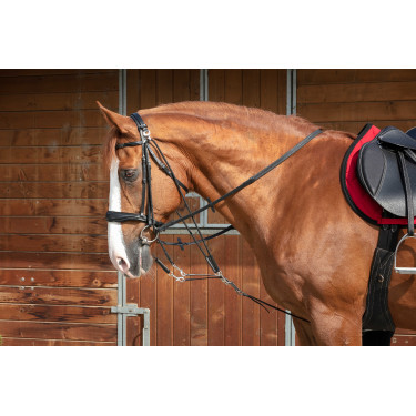 Gogue à poulies Norton Pro Noir Gogue à poulies Norton Pro Noir