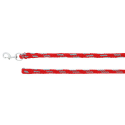 Longe d'attache Norton 2,5 m Rouge / gris
